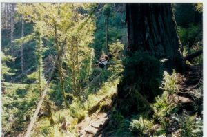 Linden Gross climbing Luna