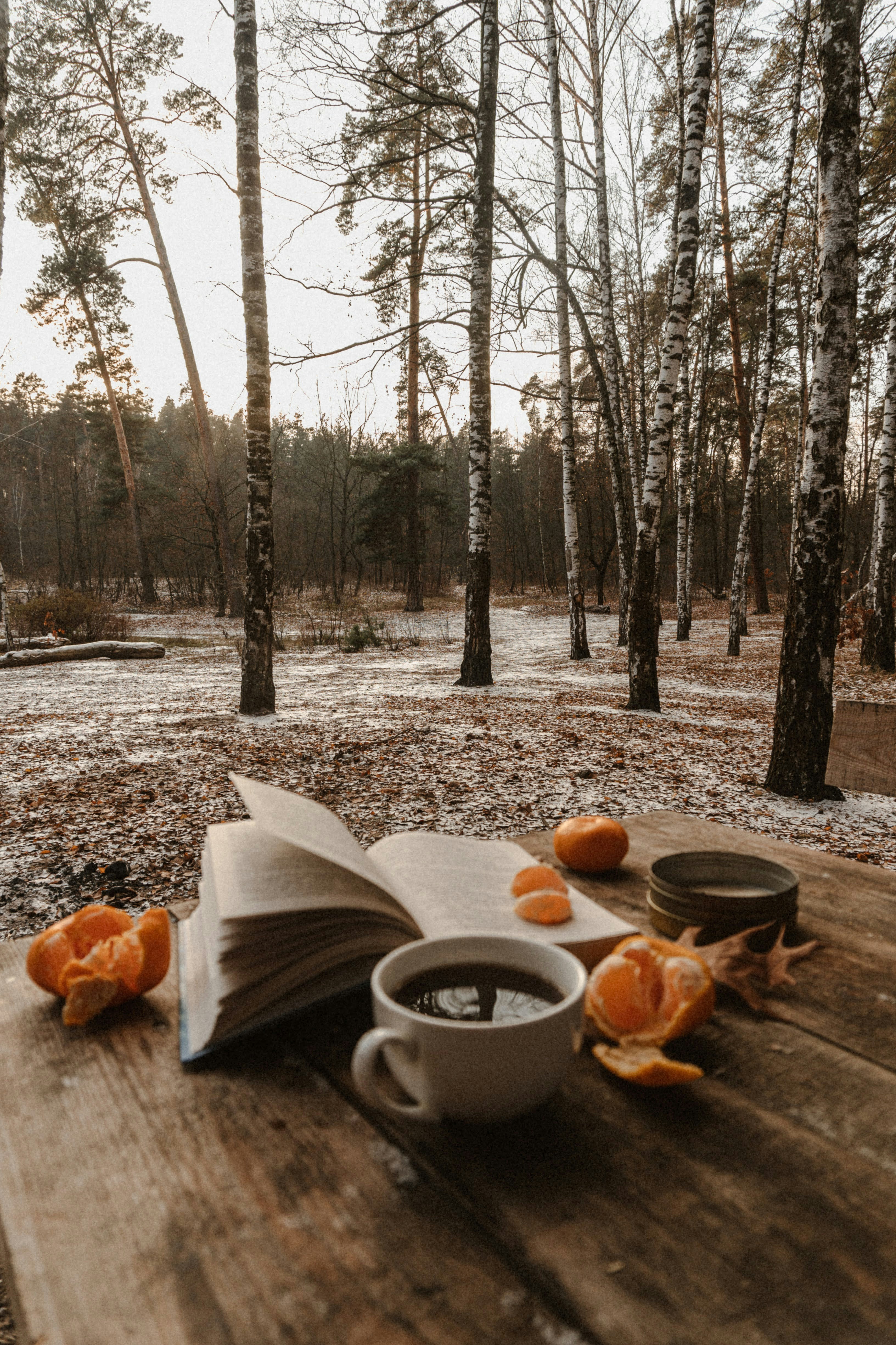 Timing Your Book Launch