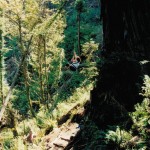 Ghostwriter Linden Gross, who wrote the national bestseller The Legacy of Luna, climbs Luna to visit Julia "Butterfly" Hill