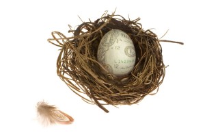 Saving for the future - an egg with a dollar bill for a shell in a pretty nest on a white background. A small feather is nearby.
