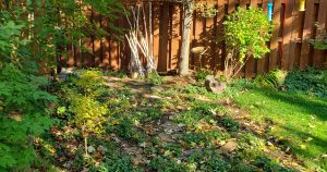 creative transformation as shown in a yard