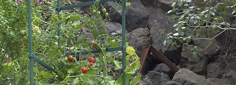The Right Environment and Nourishment