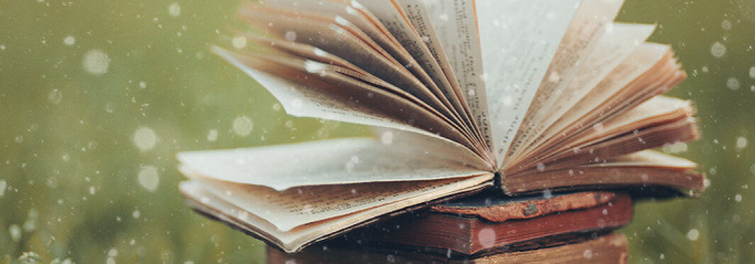 The Elements of a Good Novel